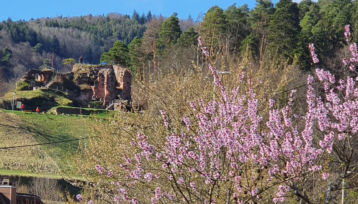 © DAV-LU / Alex Rauch