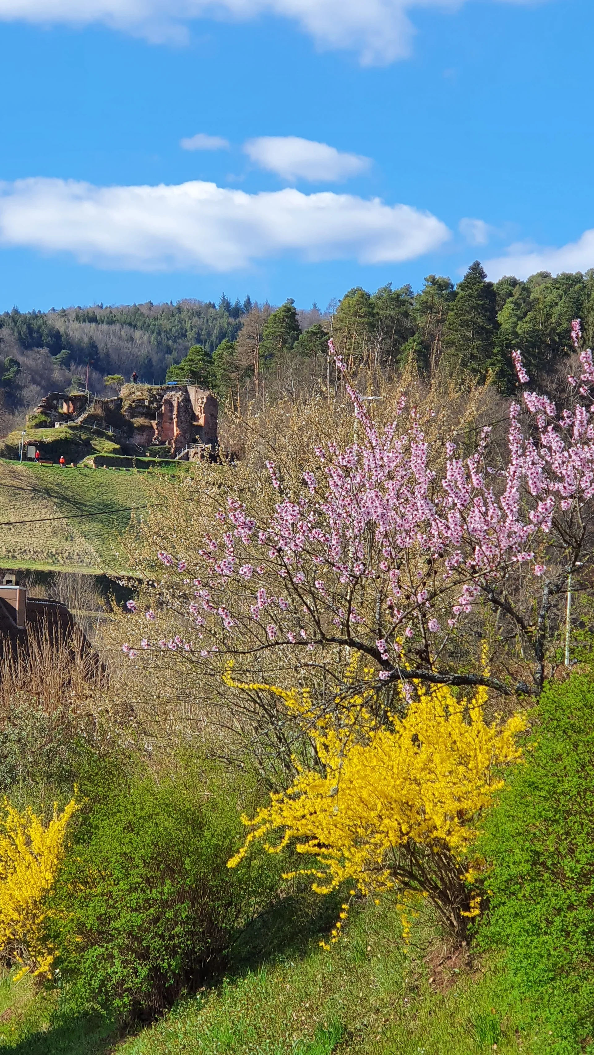 © DAV-LU / Alex Rauch