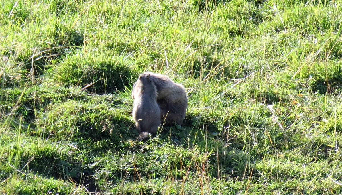 © DAV-LU, Ralf Flachmann