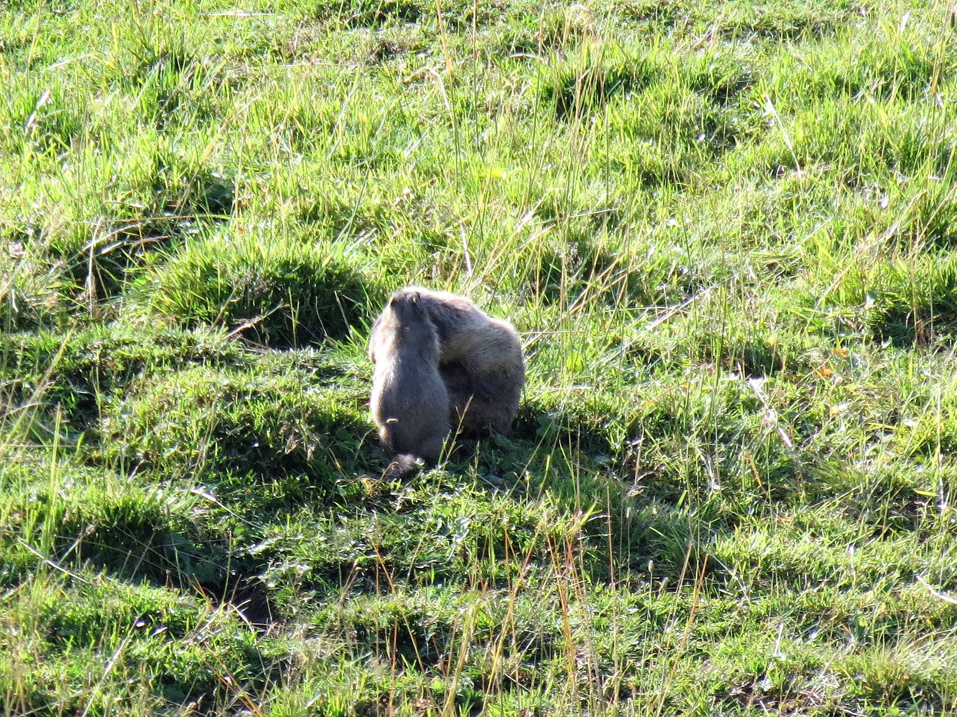 © DAV-LU, Ralf Flachmann