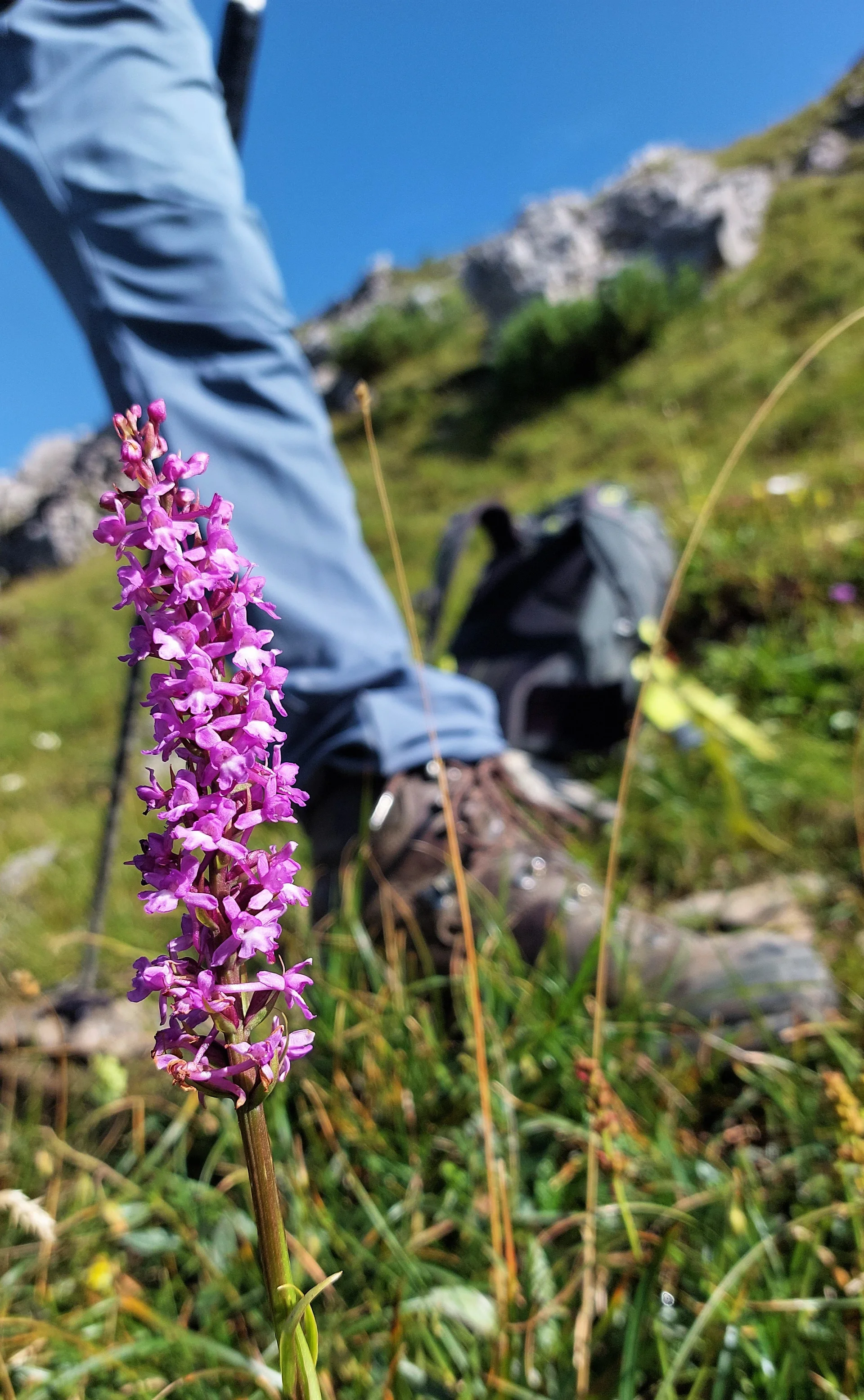 © DAV-LU, Ralf Flachmann