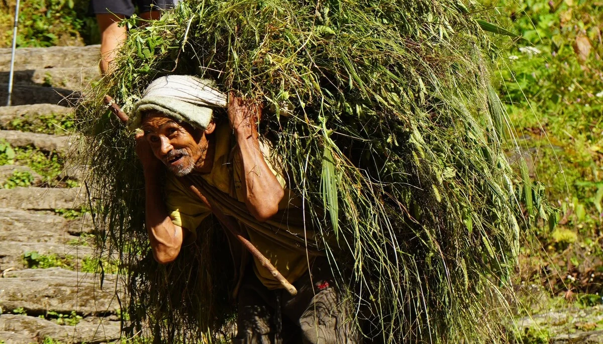 Impressionen am Trek | © DAV-LU / Axel Petermann