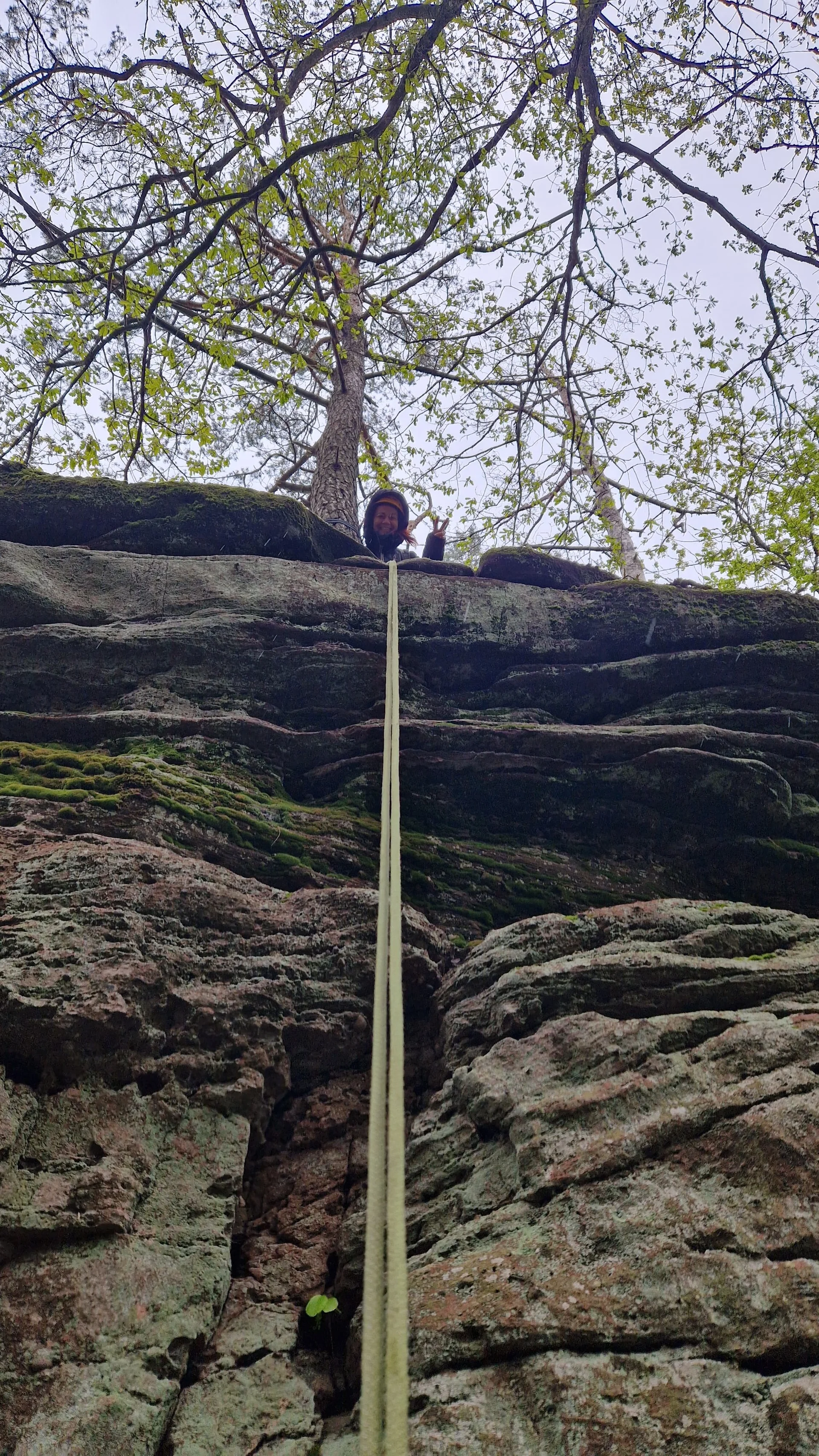 © DAV-LU / Vlad Stoica