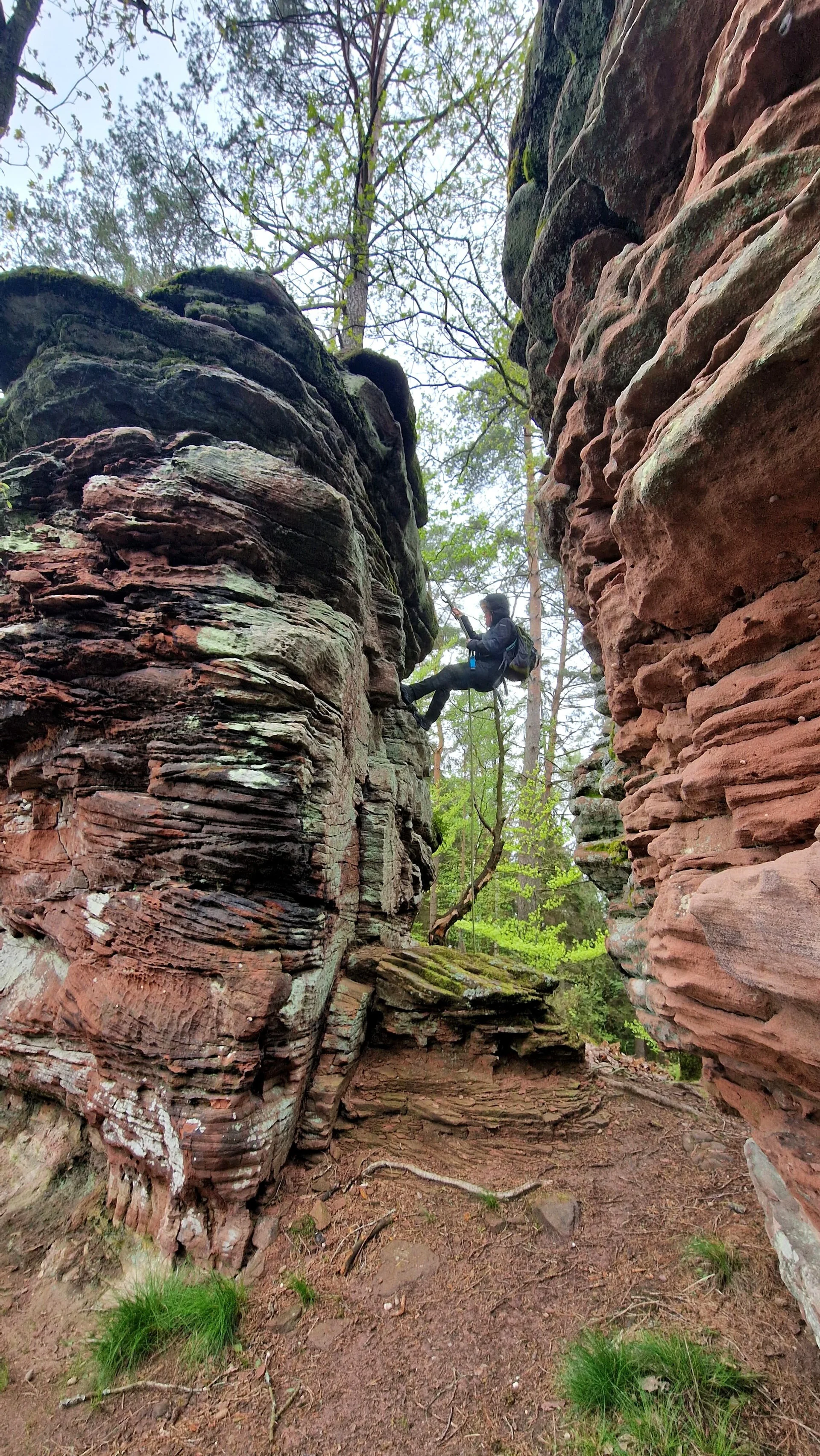 © DAV-LU / Vlad Stoica