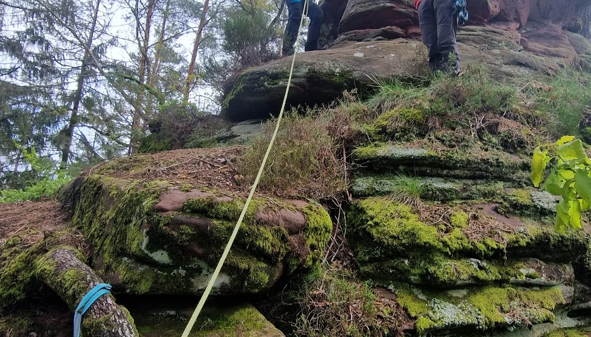 © DAV-LU / Vlad Stoica