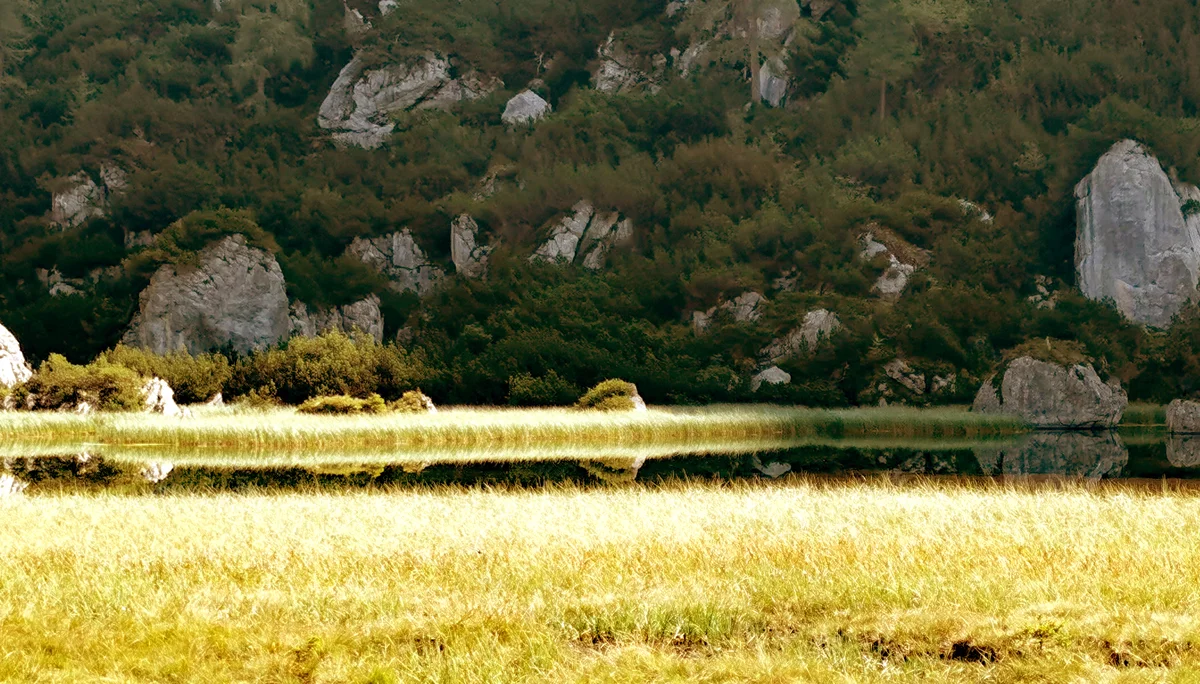 © DAV-LU