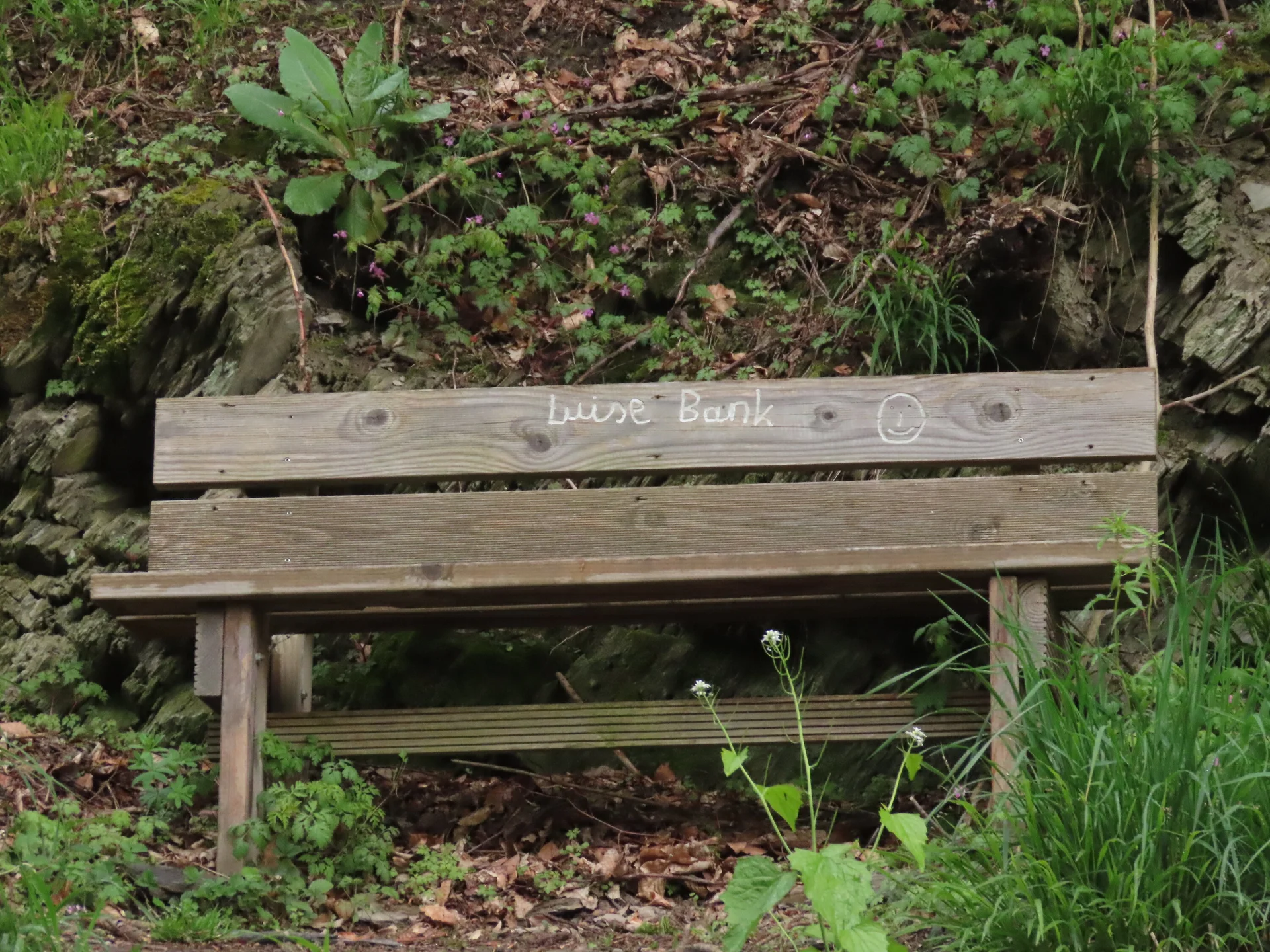 © DAV-LU / Isabella Adams