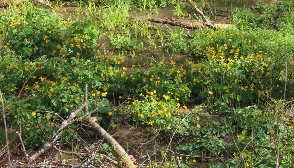 © DAV-LU / Isabella Adams