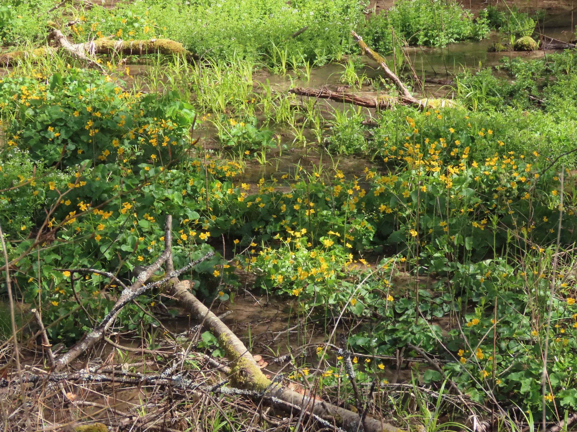 © DAV-LU / Isabella Adams