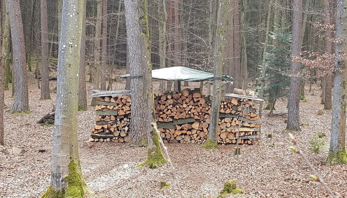 © DAV-LU / Sylvia Buhl