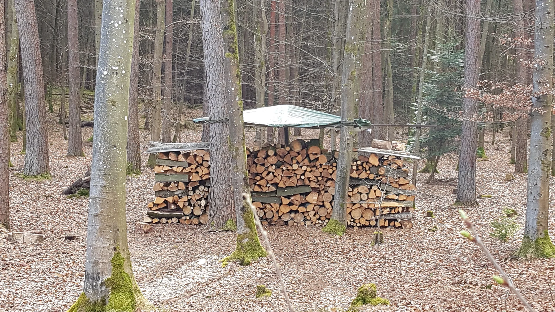 © DAV-LU / Sylvia Buhl