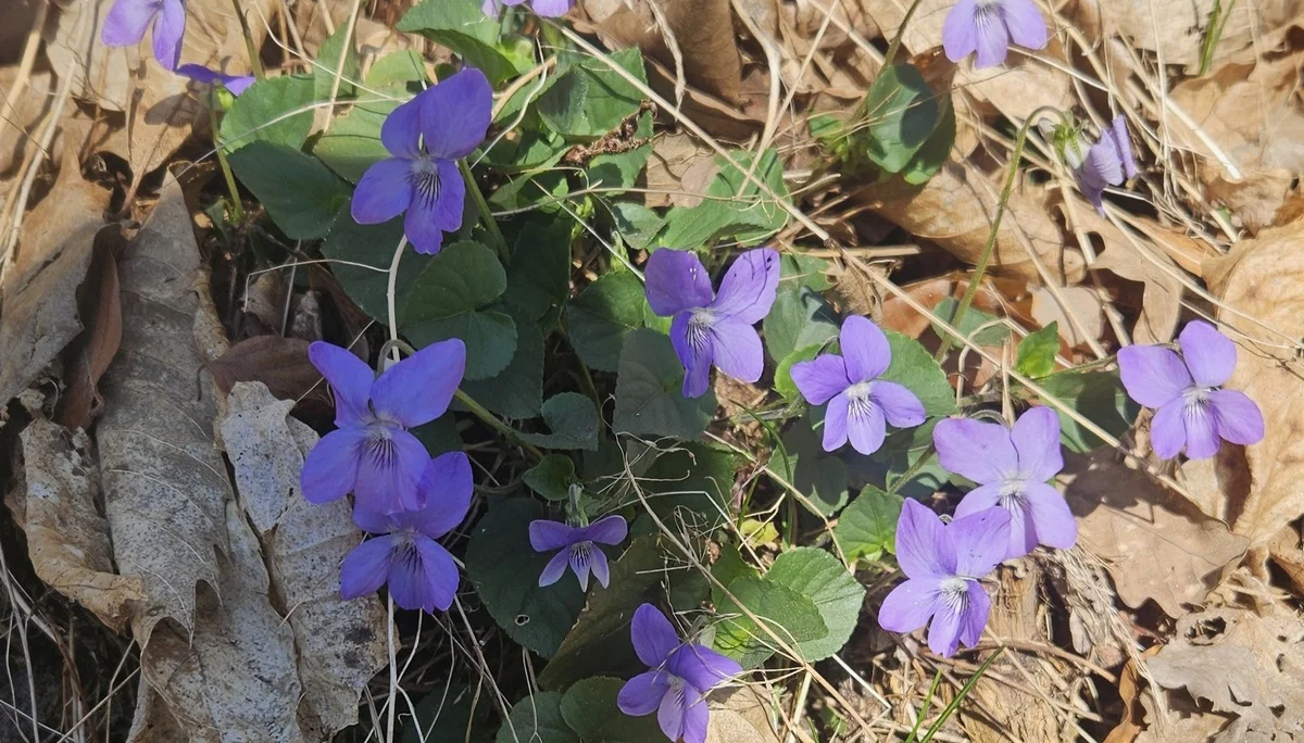 © DAV LU - Kathleen Rauch