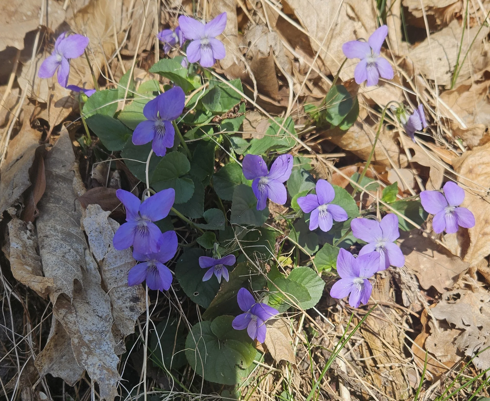 © DAV LU - Kathleen Rauch