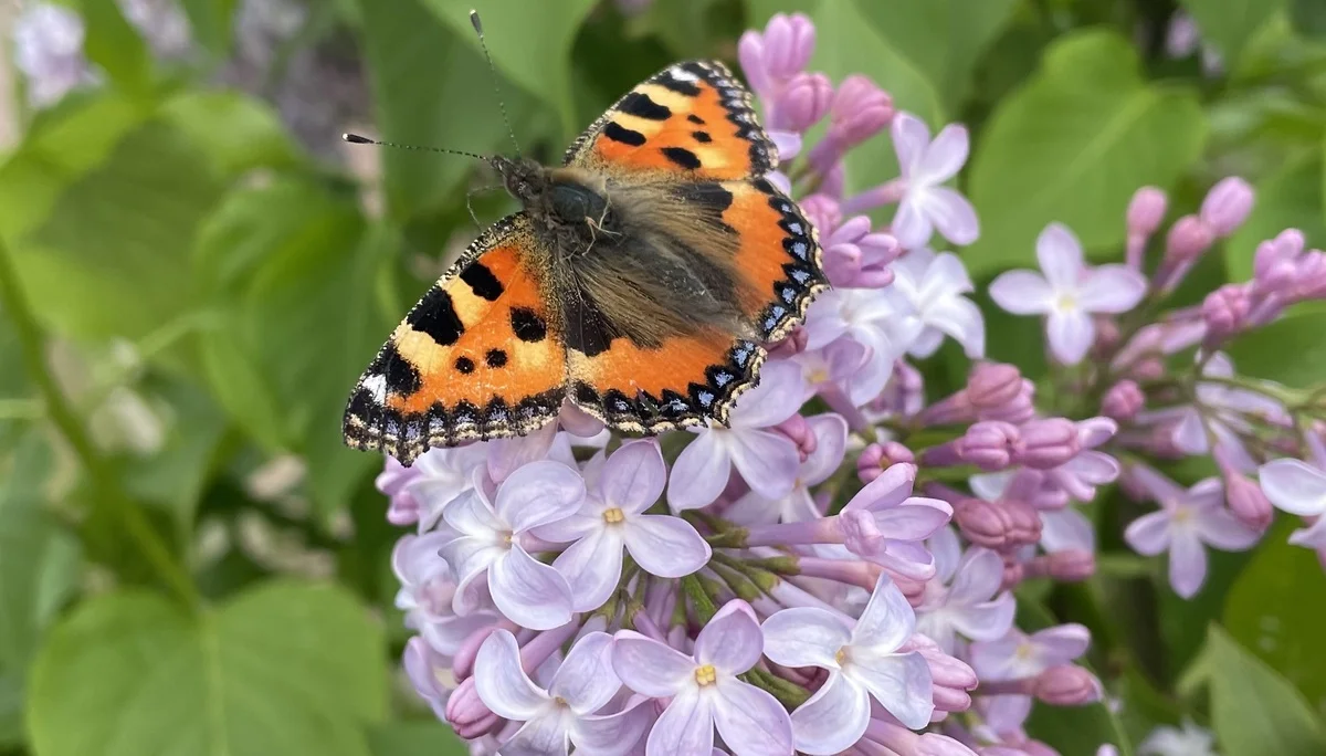 © DAV LU - Gabi Hofrath