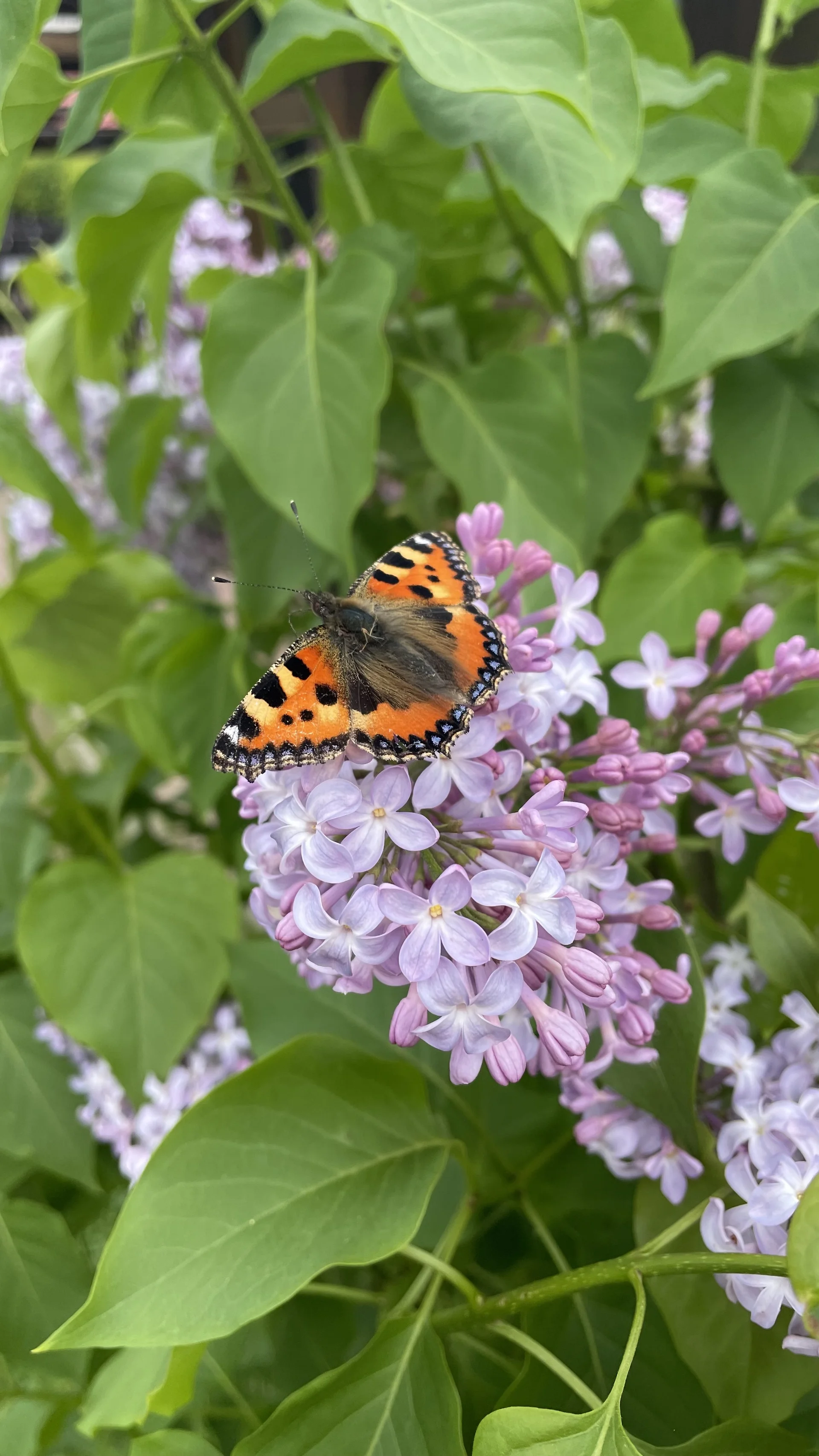 © DAV LU - Gabi Hofrath