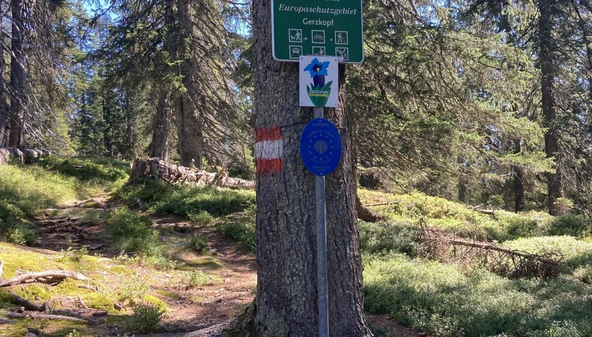 © DAV LU - Birgit Karpp