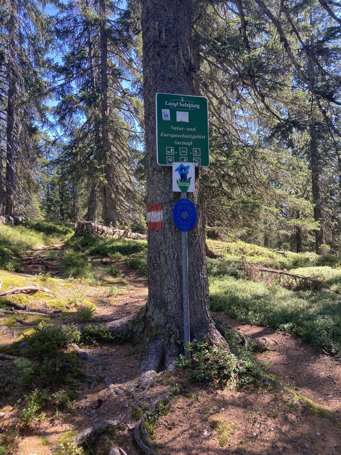 © DAV LU - Birgit Karpp