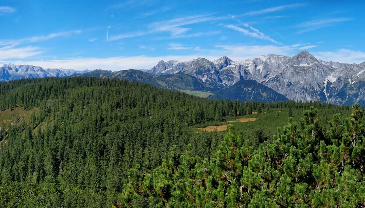 © DAV LU - Stefan Adams