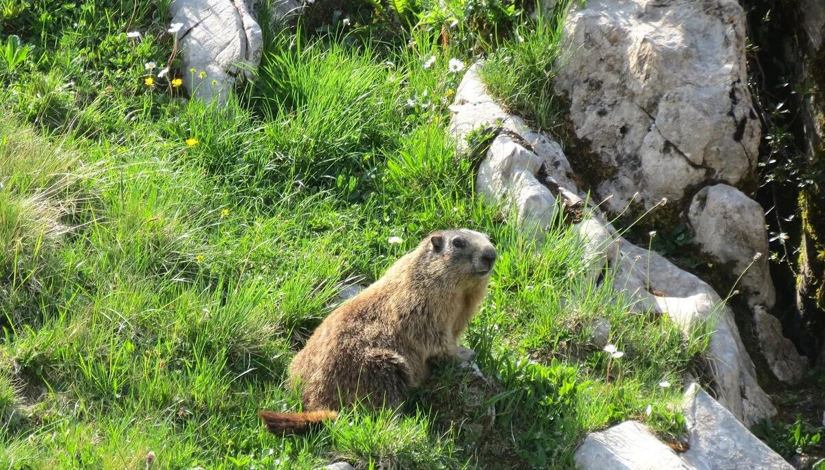 © DAV LU - Ulrich Dauner