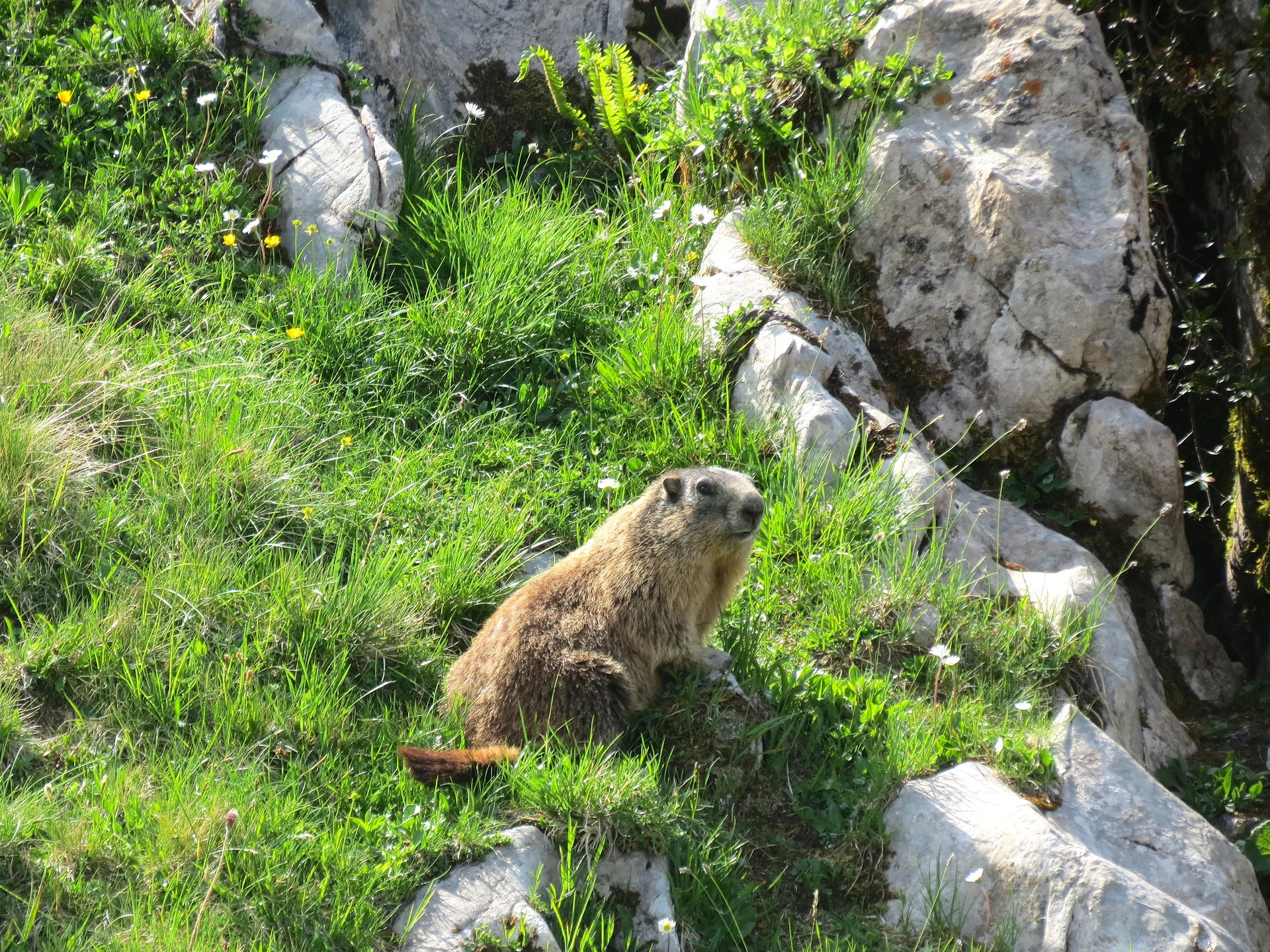 © DAV LU - Ulrich Dauner