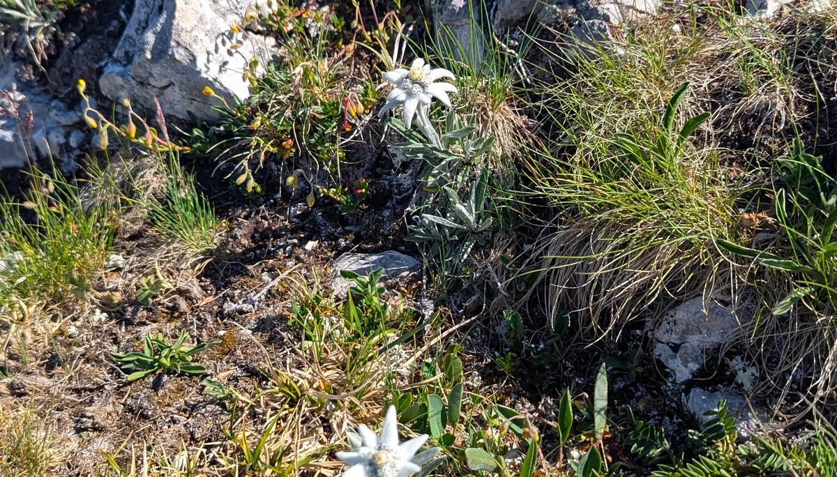 © DAV LU - Ralf Flachmann