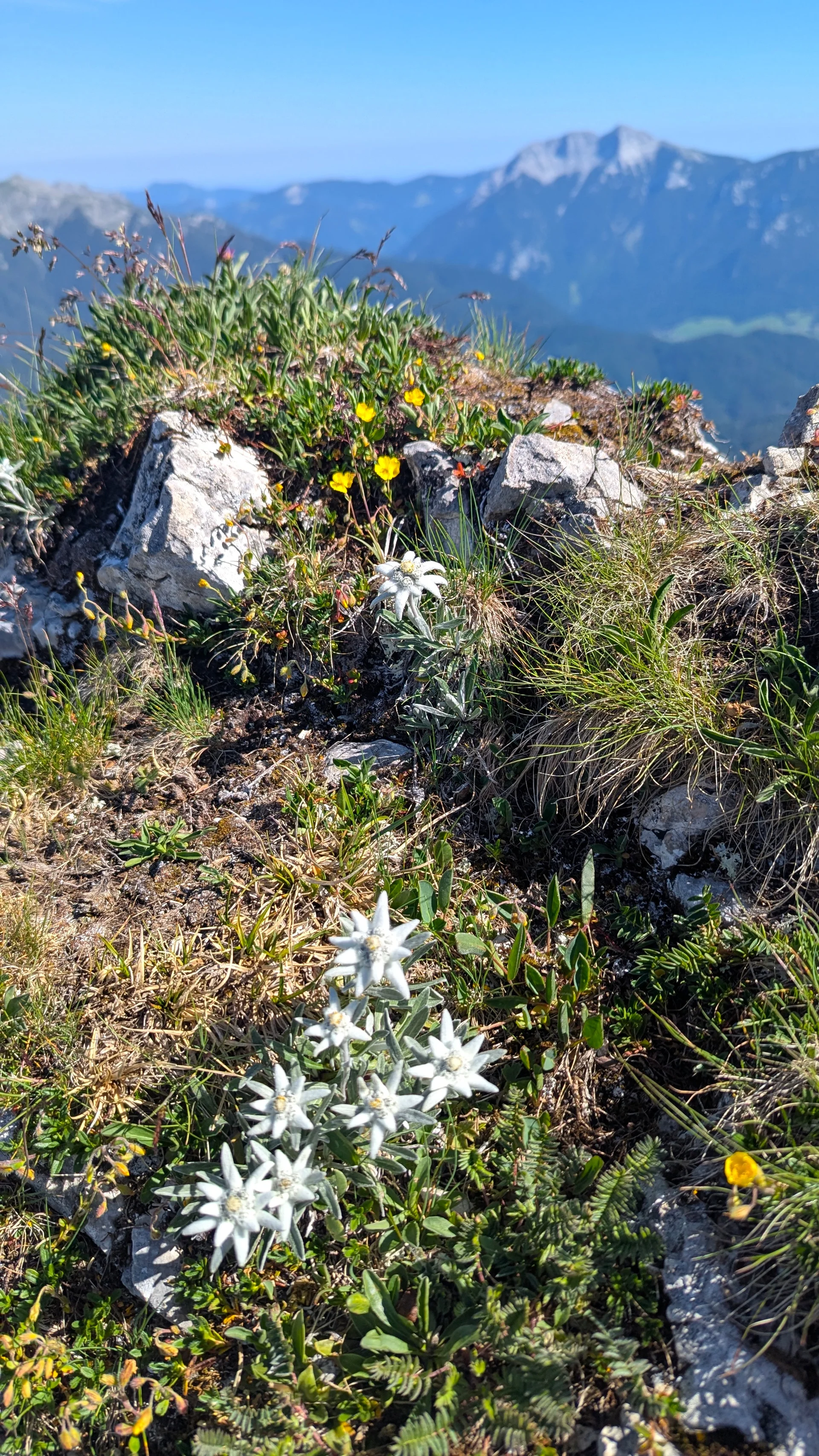 © DAV LU - Ralf Flachmann