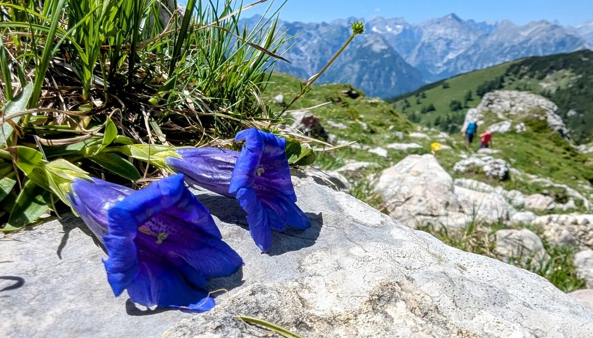 © DAV LU - Ralf Flachmann