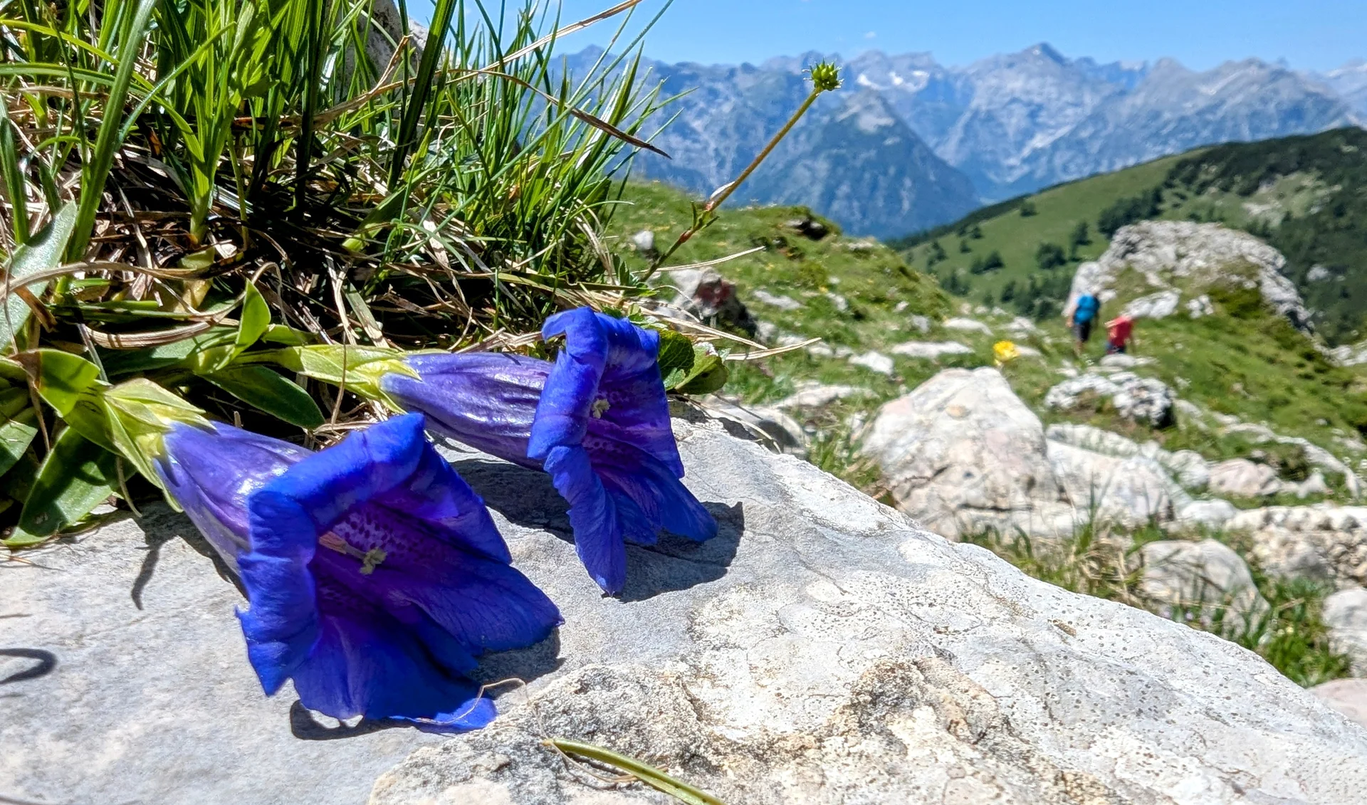 © DAV LU - Ralf Flachmann