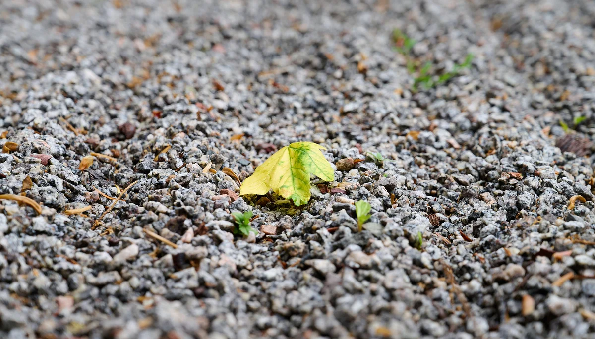 © DAV LU - Alexander Rauch