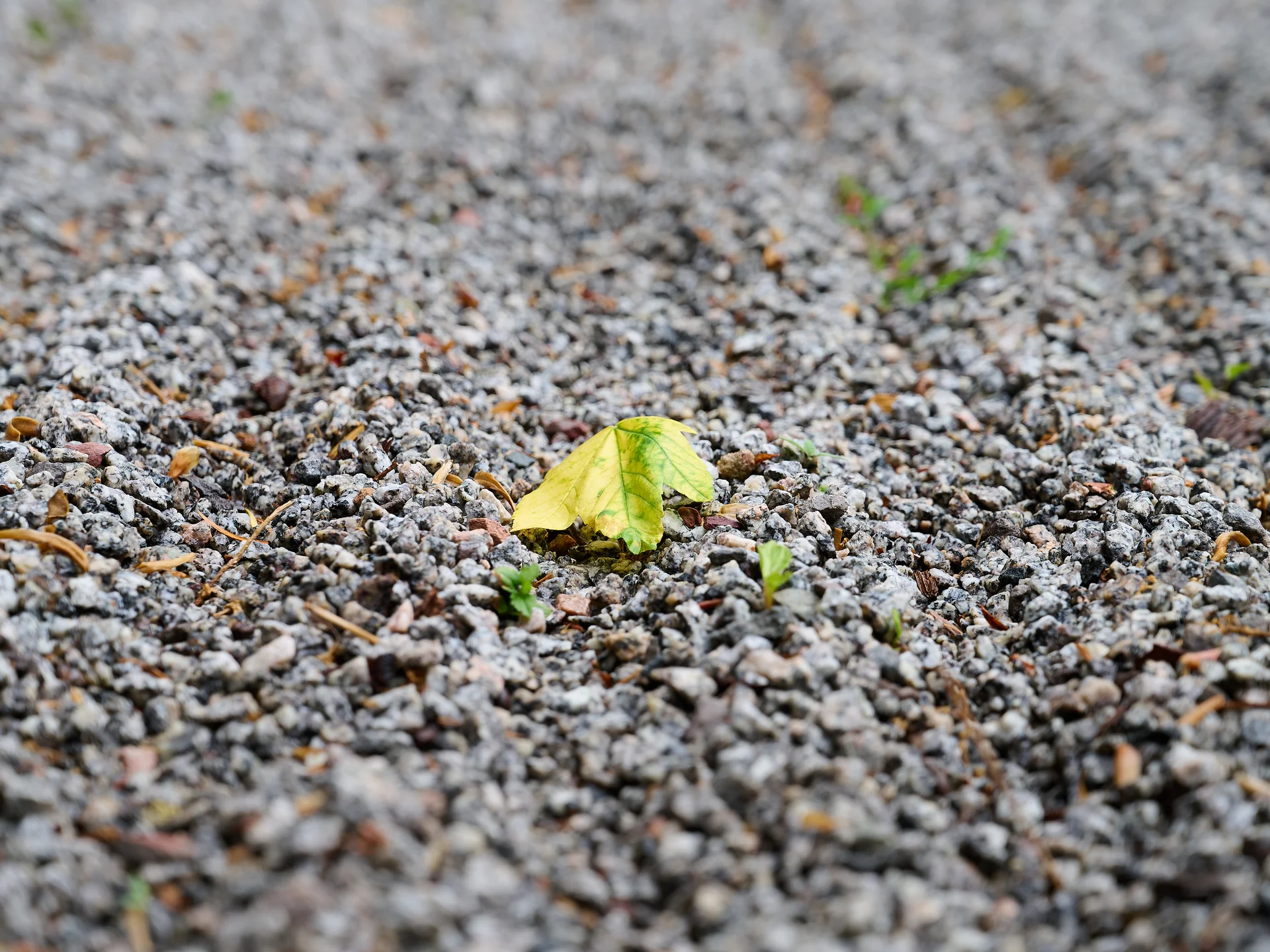 © DAV LU - Alexander Rauch