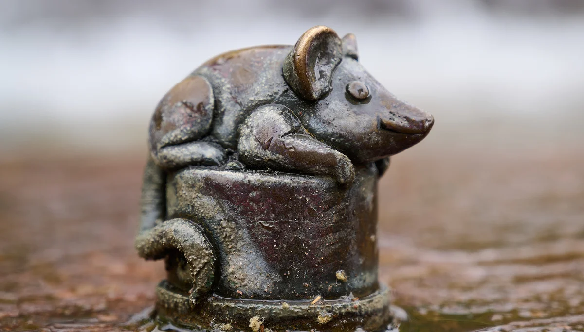 © DAV LU - Alexander Rauch