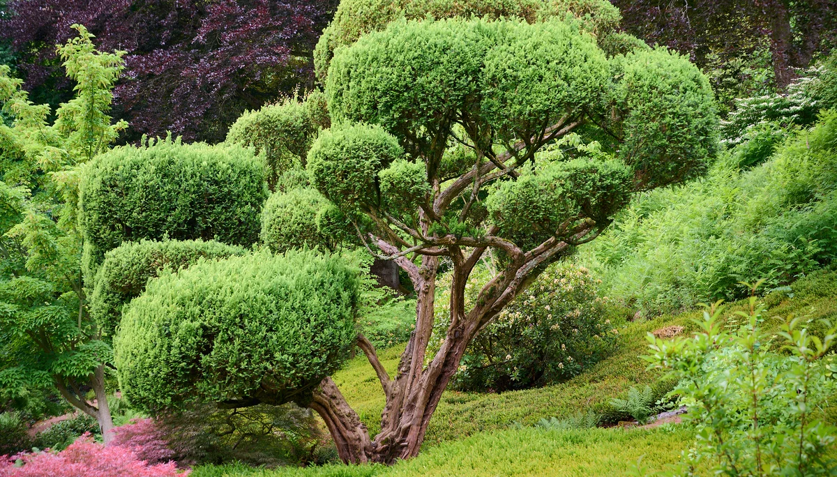 © DAV LU - Alexander Rauch