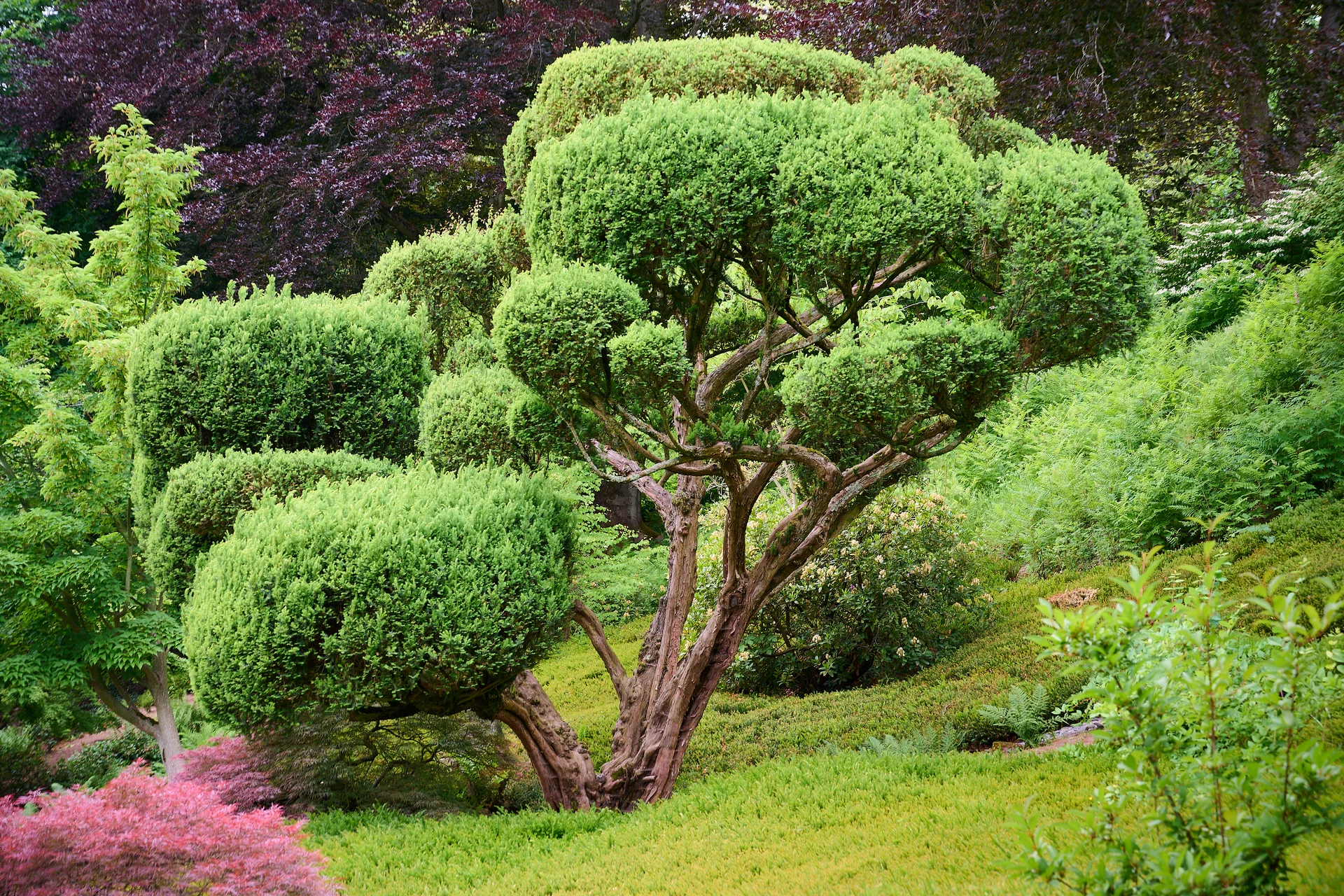 © DAV LU - Alexander Rauch