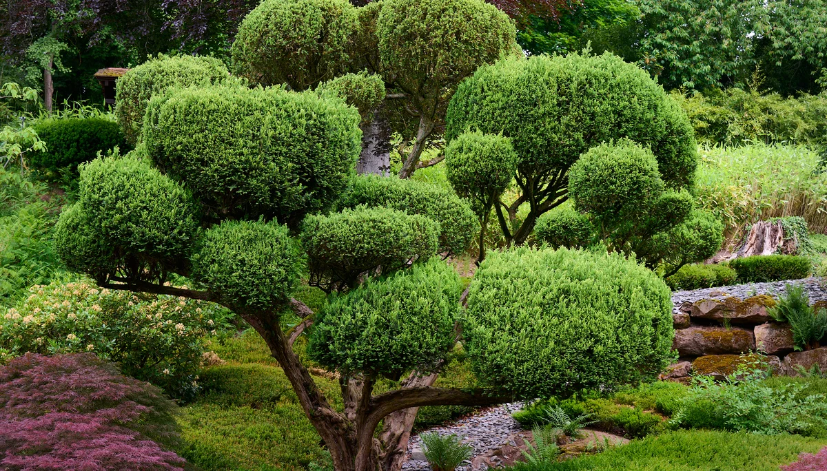 © DAV  LU - Alexander Rauch