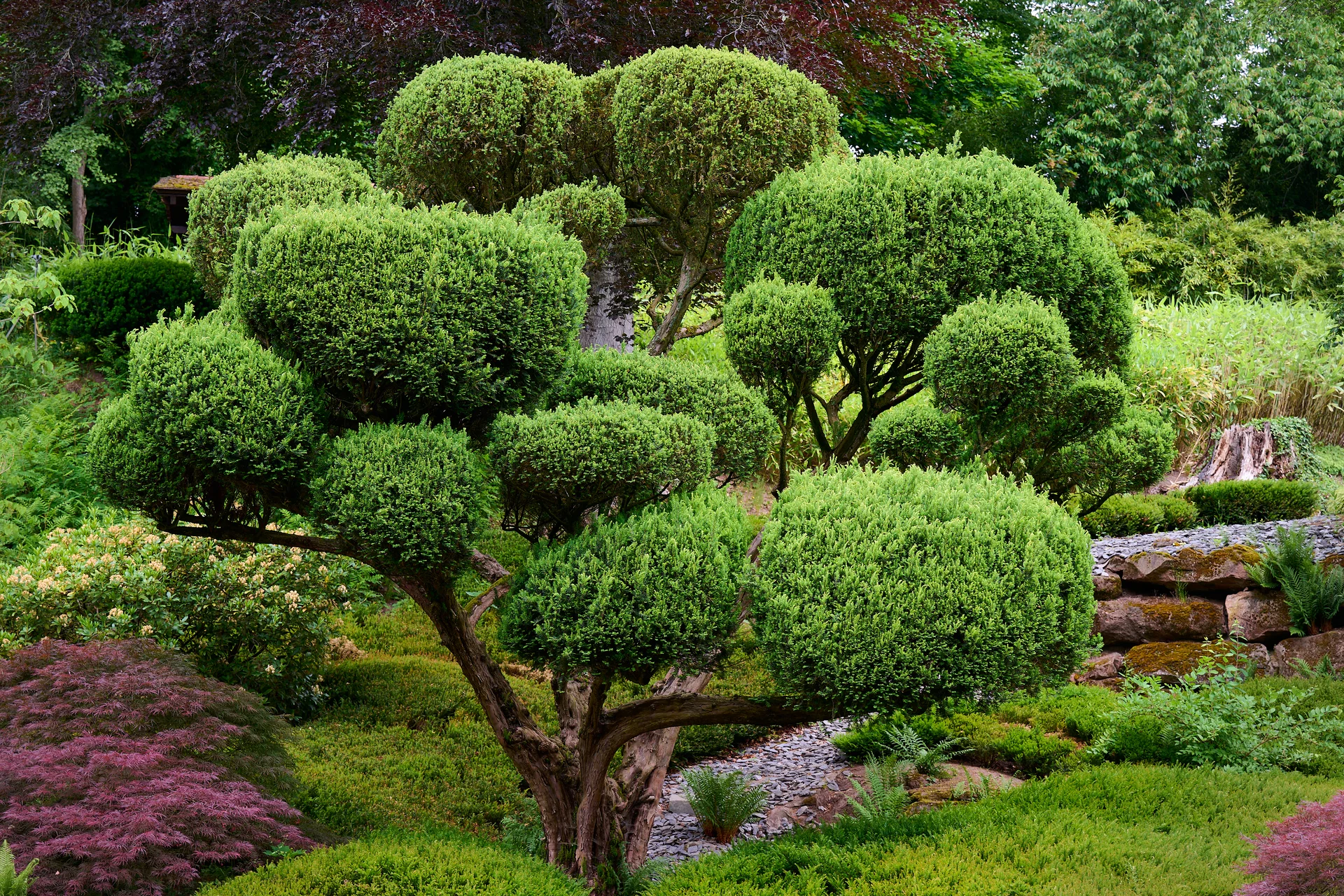 © DAV  LU - Alexander Rauch