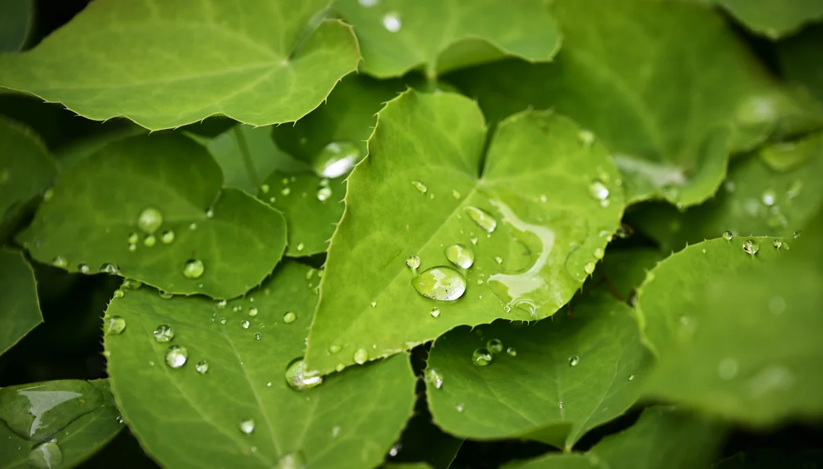 © DAV LU - Andree Hofrath