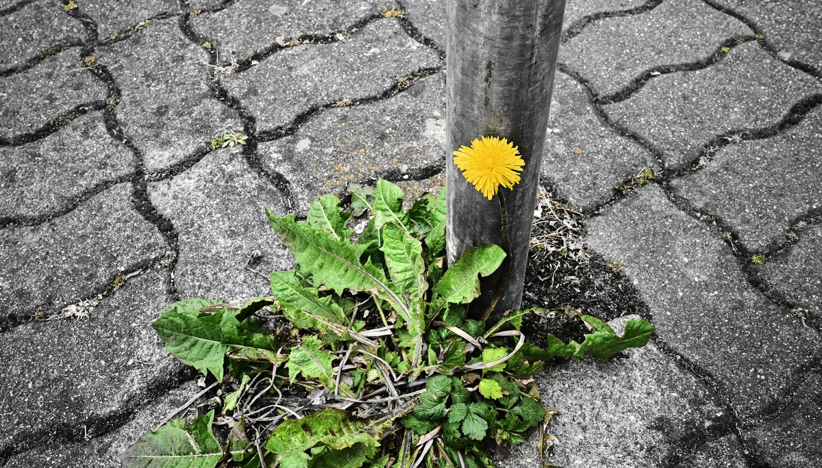 © DAV LU - Andree Hofrath
