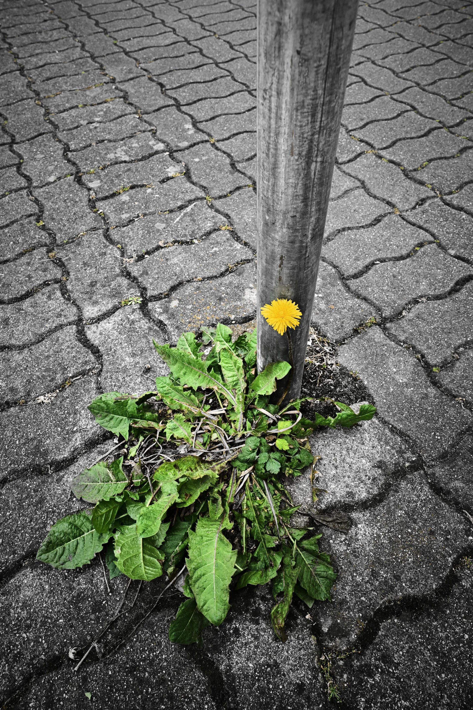 © DAV LU - Andree Hofrath