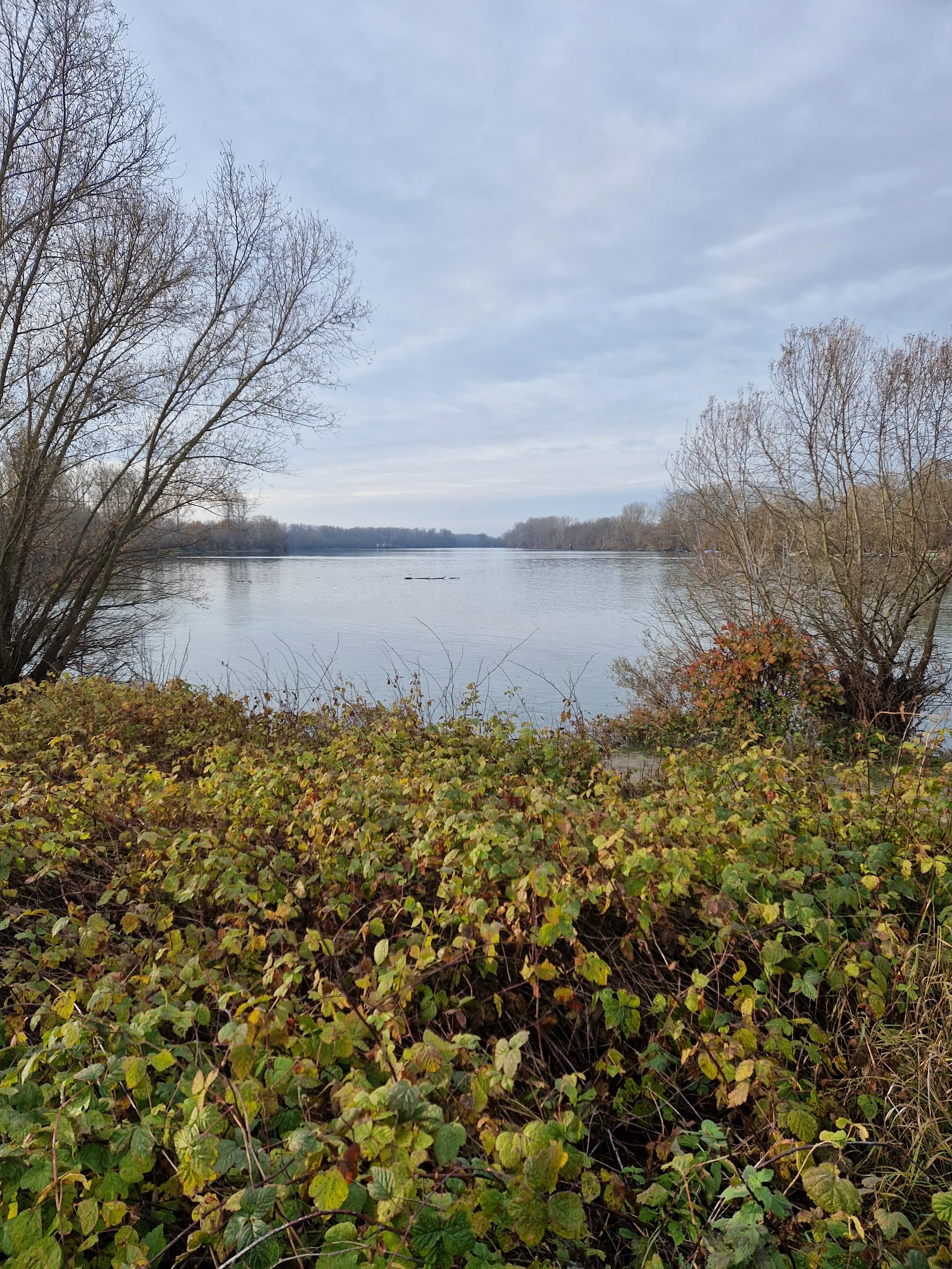 © DAV LU - Isabella Adams