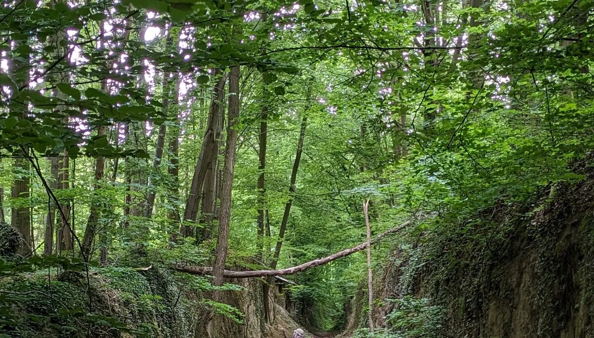 © DAV LU - Lore Soltau