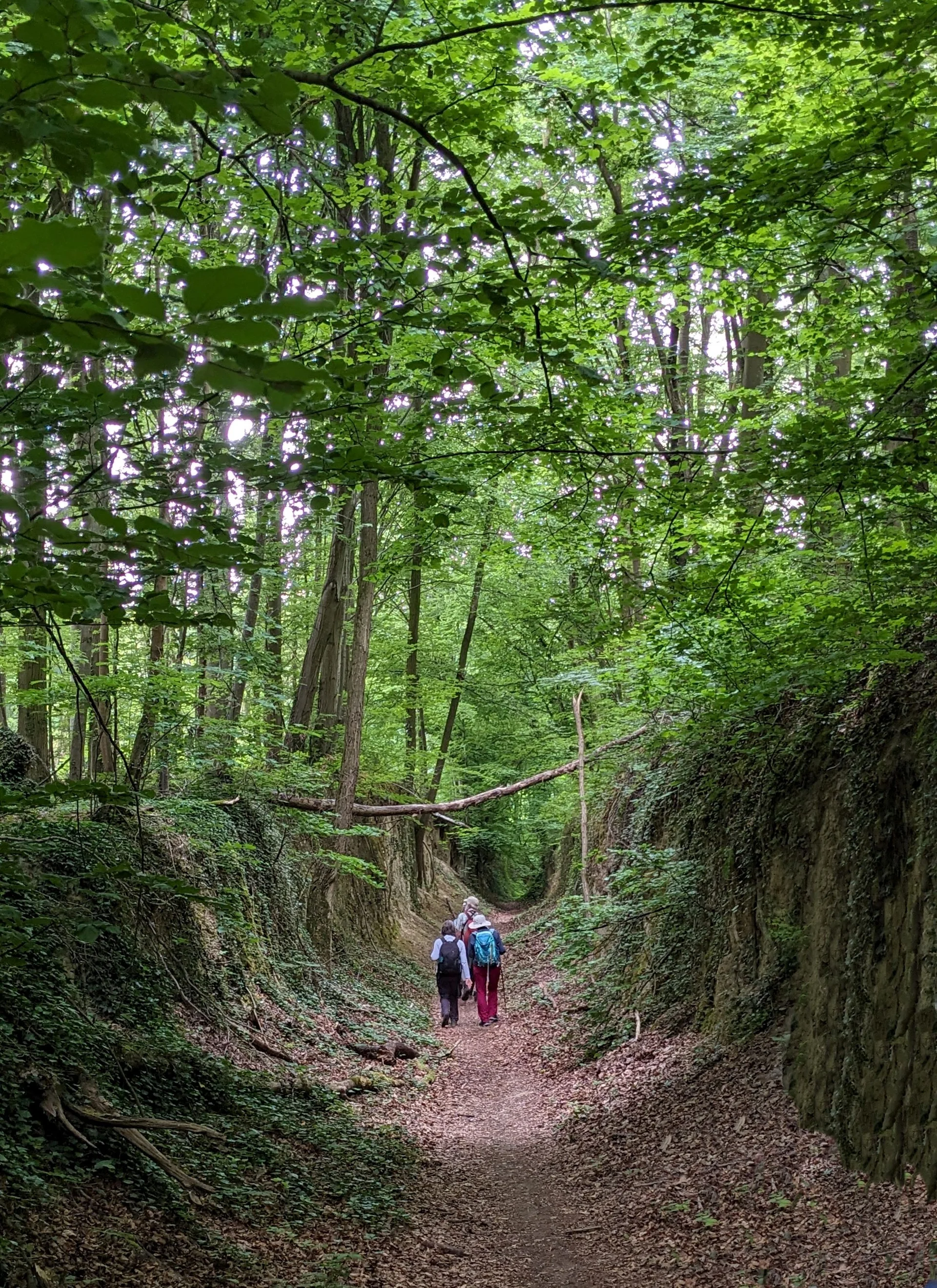 © DAV LU - Lore Soltau