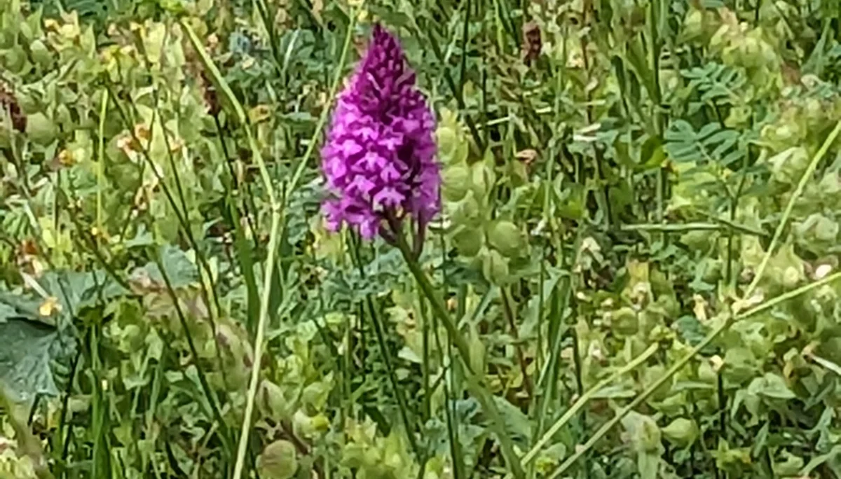 © DAV LU - Lore Soltau