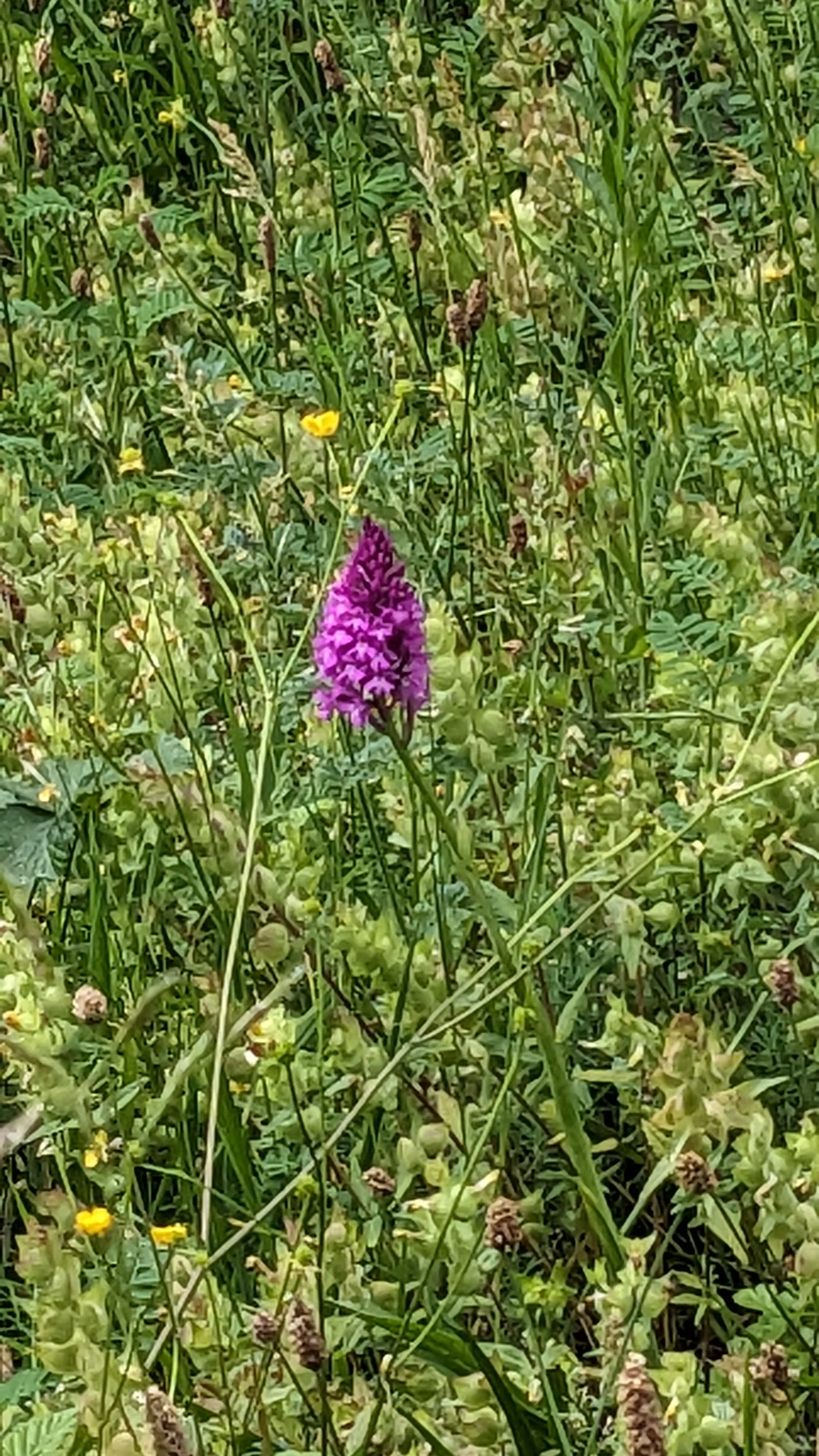 © DAV LU - Lore Soltau