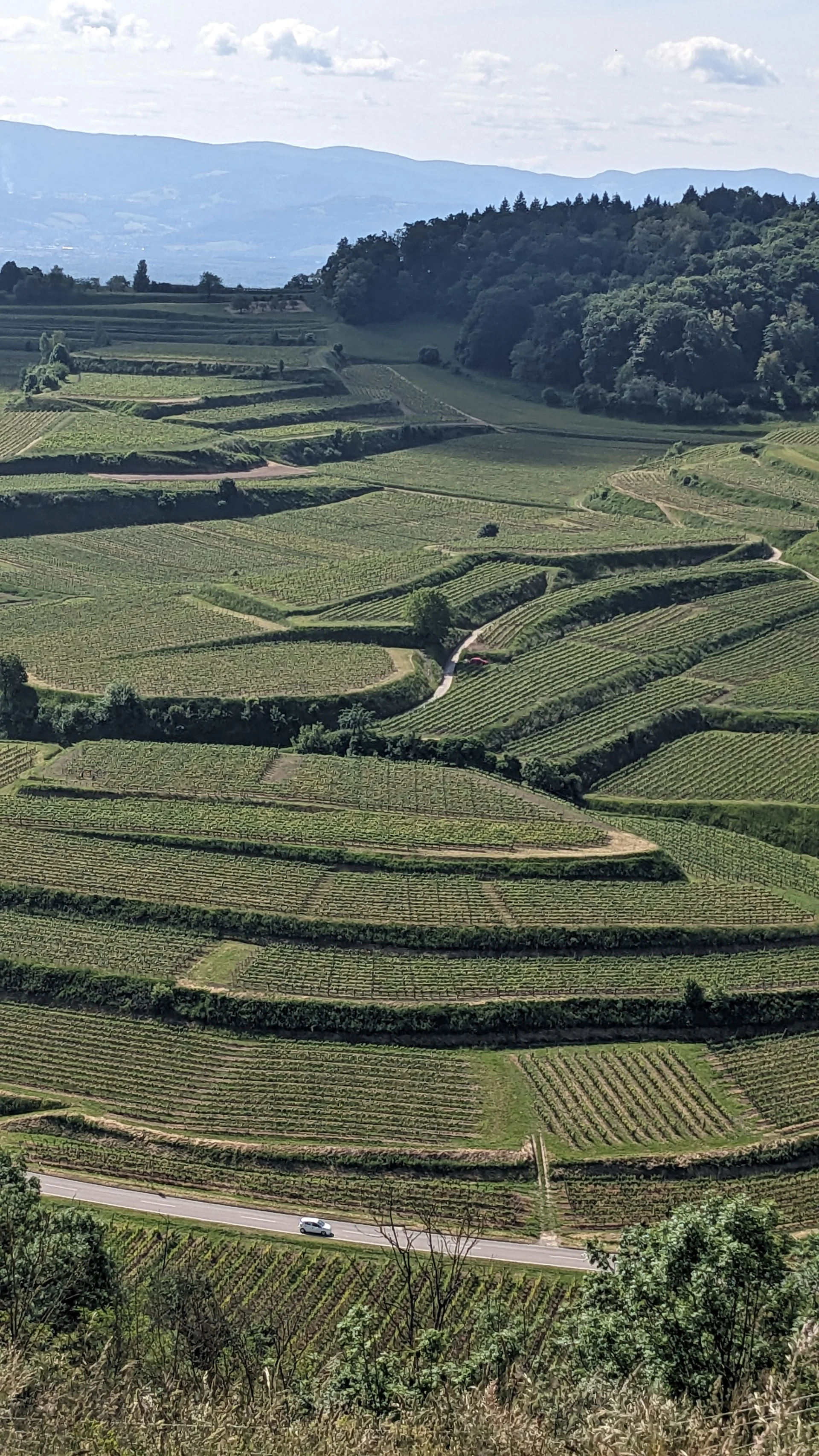 © DAV LU - Lore Soltau