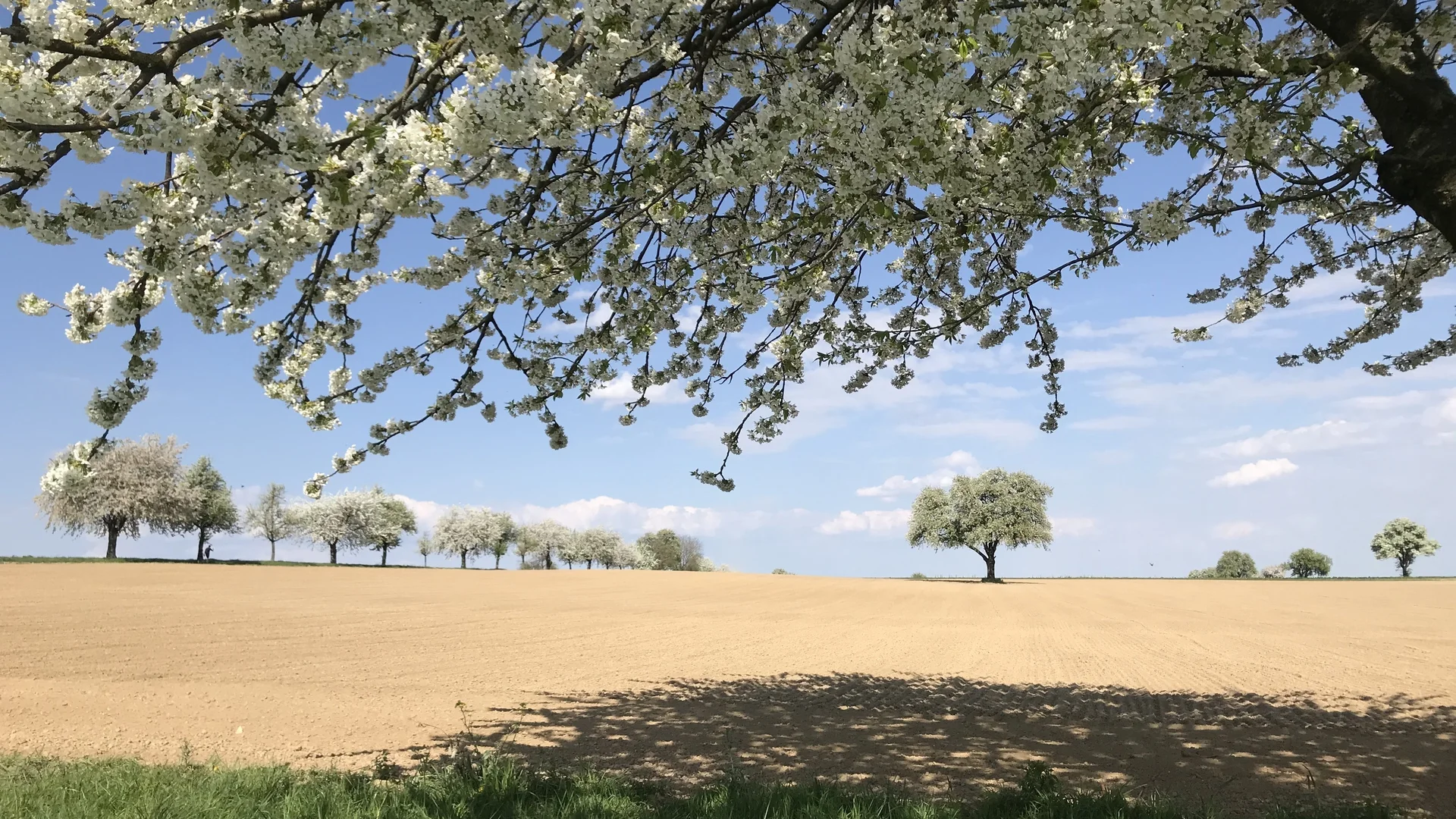 © DAV-LU // Gita Enderlein