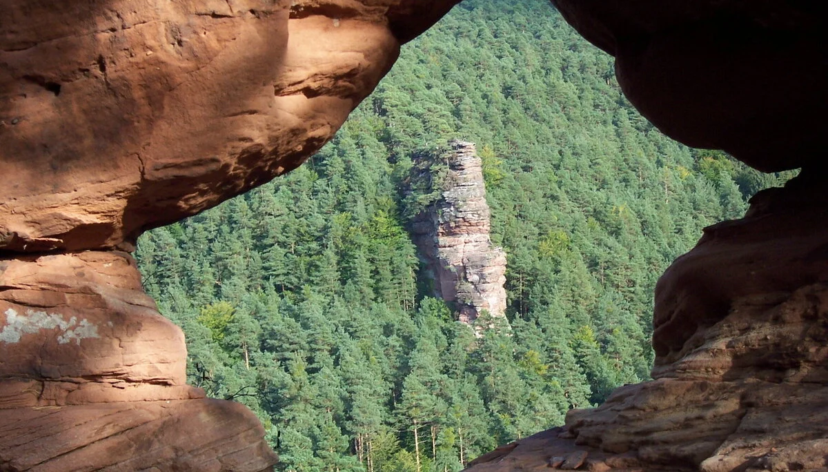 Blick über ein Loch im Feld auf den Glasfelsen im Pfälzerwald. | © DAV/Markus Maier