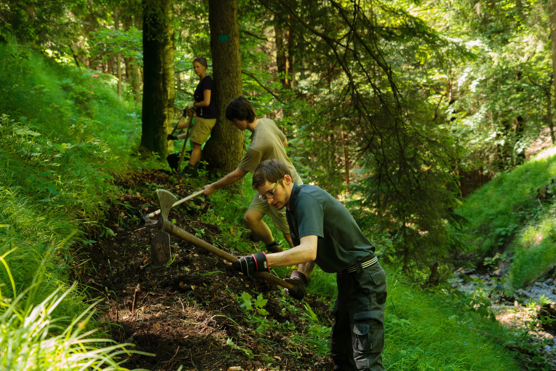 Aktion Schutzwald | © 	DAV/Arvid Uhlig